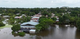 Más de 1.500 damnificados en los estados Amazonas y Bolívar por crecida del río Orinoco Más de 1.500 damnificados en los estados Amazonas y Bolívar por crecida del río Orinoco