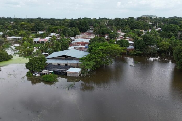 Más de 1.500 damnificados en los estados Amazonas y Bolívar por crecida del río Orinoco Más de 1.500 damnificados en los estados Amazonas y Bolívar por crecida del río Orinoco