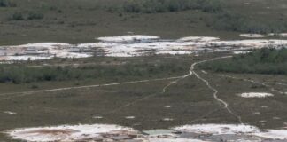 Minería ilegal madurista logra ubicar a Venezuela en el top de países con más pérdida de bosques tropicales Minería ilegal madurista logra ubicar a Venezuela en el top de países con más pérdida de bosques tropicales