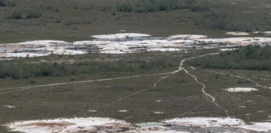 Minería ilegal madurista logra ubicar a Venezuela en el top de países con más pérdida de bosques tropicales