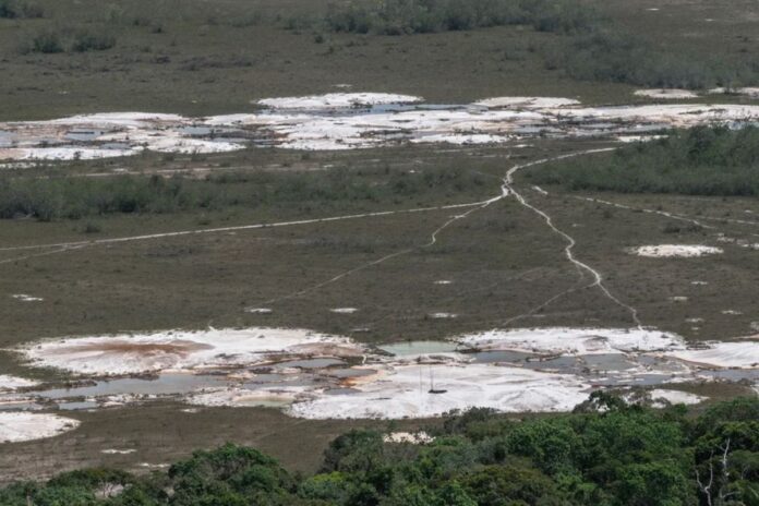 Minería ilegal madurista logra ubicar a Venezuela en el top de países con más pérdida de bosques tropicales Minería ilegal madurista logra ubicar a Venezuela en el top de países con más pérdida de bosques tropicales