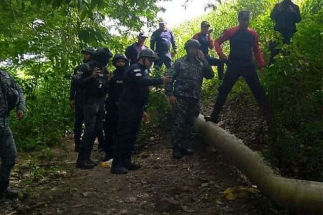 Autoridades hallaron cuerpo de un hombre colgado a un árbol en Maturín
