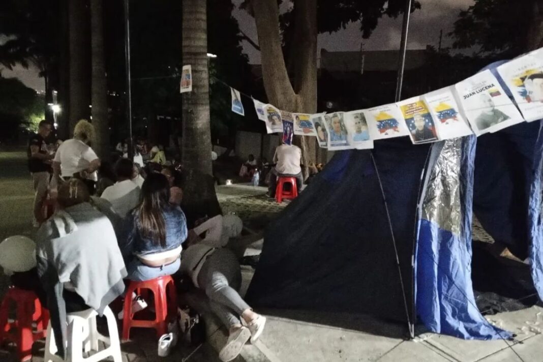 Colectivos armados atacan a madres y activistas: Brutal represión frente al TSJ