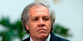 Luis Almagro exhorta a la CPI para que tome decisiones adicionales sobre el régimen de Nicolás Maduro: «Es muy importante que actúe ya» Luis Almagro exhorta a la CPI para que tome decisiones adicionales sobre el régimen de Nicolás Maduro: "Es muy importante que actúe ya"