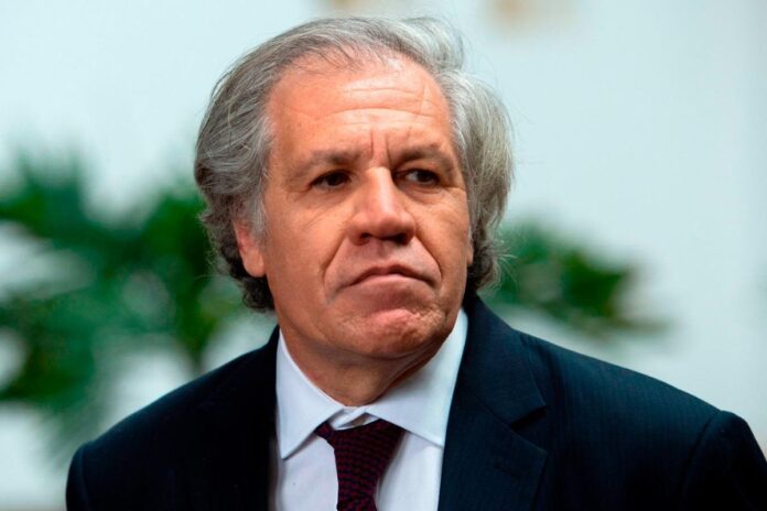 Luis Almagro exhorta a la CPI para que tome decisiones adicionales sobre el régimen de Nicolás Maduro: «Es muy importante que actúe ya» Luis Almagro exhorta a la CPI para que tome decisiones adicionales sobre el régimen de Nicolás Maduro: "Es muy importante que actúe ya"