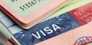 Autoridades en Ecuador ponen en vigor la visa de transeúnte para venezolanos Autoridades en Ecuador ponen en vigor la visa de transeúnte para venezolanos