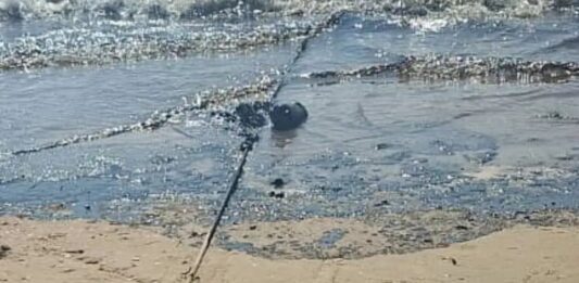 Denuncian estragos del derrame de petróleo en Amuay y Punta Cardón