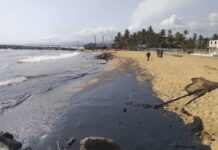 Denuncian nuevo derrame de petróleo en Falcón Denuncian nuevo derrame de petróleo en Falcón