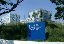 Régimen de Nicolás Maduro acusa a Argentina de «falso defensor de DD. HH.» tras denuncias ante la CPI Régimen de Nicolás Maduro acusa a Argentina de "falso defensor de DD. HH." tras denuncias ante la CPI