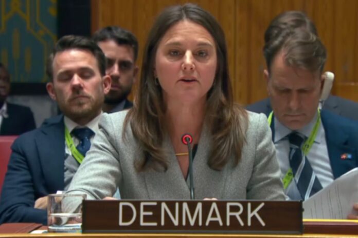 Dinamarca condena en la ONU represión del régimen de Nicolás Maduro y pretensión de retirar a Venezuela de la CPI Dinamarca condena en la ONU represión del régimen de Nicolás Maduro y pretensión de retirar a Venezuela de la CPI