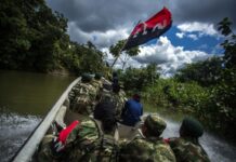 Guerrilla del ELN libera dos colombianos secuestrados en frontera con Venezuela Guerrilla del ELN libera dos colombianos secuestrados en frontera con Venezuela
