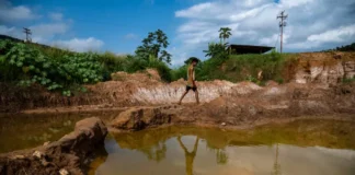 Transparencia Venezuela exige a Delcy Rodríguez publicar proyecto de Ley Orgánica de Minas y Minerales Transparencia Venezuela exige a Delcy Rodríguez publicar proyecto de Ley Orgánica de Minas y Minerales