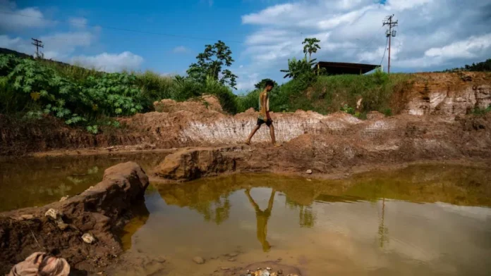 Transparencia Venezuela exige a Delcy Rodríguez publicar proyecto de Ley Orgánica de Minas y Minerales Transparencia Venezuela exige a Delcy Rodríguez publicar proyecto de Ley Orgánica de Minas y Minerales