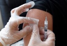 24 organizaciones alertan sobre «inicio» de epidemia de fiebre amarilla: Exigen transparencia 24 organizaciones alertan sobre "inicio" de epidemia de fiebre amarilla: Exigen transparencia