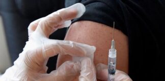 24 organizaciones alertan sobre «inicio» de epidemia de fiebre amarilla: Exigen transparencia 24 organizaciones alertan sobre "inicio" de epidemia de fiebre amarilla: Exigen transparencia