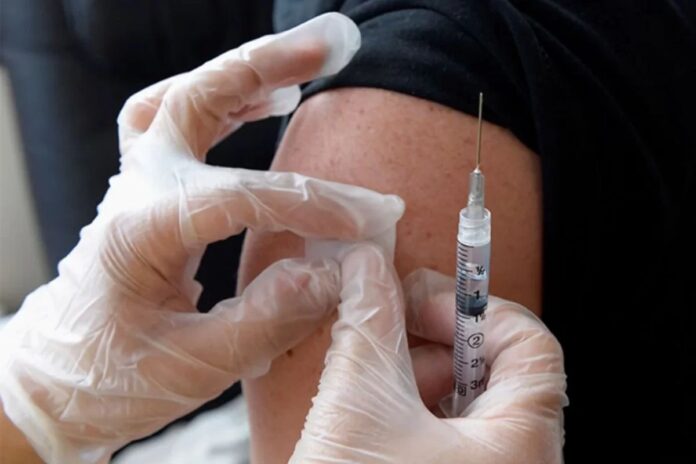 24 organizaciones alertan sobre «inicio» de epidemia de fiebre amarilla: Exigen transparencia 24 organizaciones alertan sobre "inicio" de epidemia de fiebre amarilla: Exigen transparencia