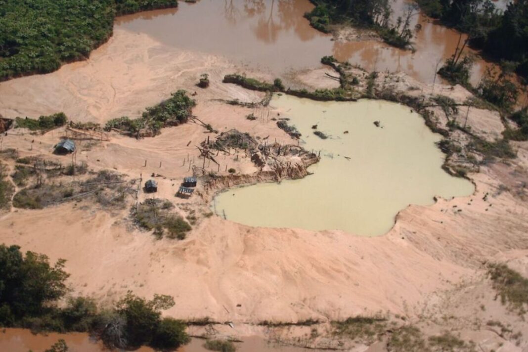 SOS Orinoco pide transparencia ante posible exportación de oro venezolano a EE. UU.
