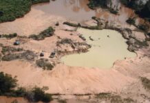 SOS Orinoco pide transparencia ante posible exportación de oro venezolano a EE. UU. SOS Orinoco pide transparencia ante posible exportación de oro venezolano a EE. UU.