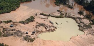 SOS Orinoco pide transparencia ante posible exportación de oro venezolano a EE. UU. SOS Orinoco pide transparencia ante posible exportación de oro venezolano a EE. UU.