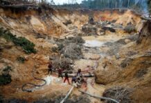 15 ONG venezolanas alertan que ley de minería podría profundizar daño ambiental 15 ONG venezolanas alertan que ley de minería podría profundizar daño ambiental