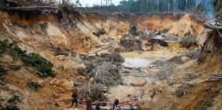 15 ONG venezolanas alertan que ley de minería podría profundizar daño ambiental 15 ONG venezolanas alertan que ley de minería podría profundizar daño ambiental