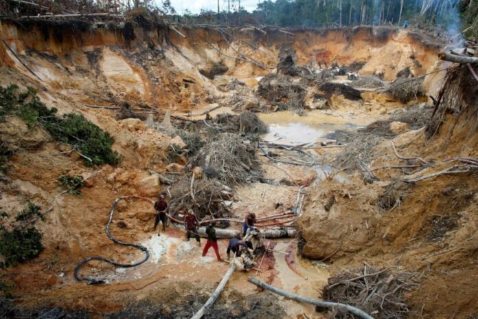15 ONG venezolanas alertan que ley de minería podría profundizar daño ambiental 15 ONG venezolanas alertan que ley de minería podría profundizar daño ambiental