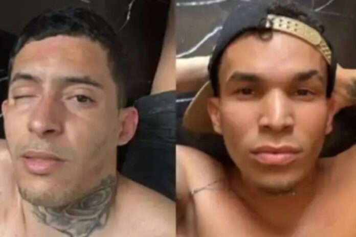 Detienen a dos integrantes del Tren de Aragua con explosivos en Ecuador Detienen a dos integrantes del Tren de Aragua con explosivos en Ecuador
