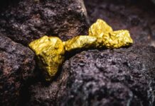 ONG alertan de licencias de EE. UU. para oro venezolano facilitan el «blanqueo ilícito» y el ecocidio ONG alertan de licencias de EE. UU. para oro venezolano facilitan el "blanqueo ilícito" y el ecocidio