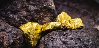 ONG alertan de licencias de EE. UU. para oro venezolano facilitan el «blanqueo ilícito» y el ecocidio ONG alertan de licencias de EE. UU. para oro venezolano facilitan el "blanqueo ilícito" y el ecocidio