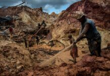 El Nuevo Herald: Fiebre del oro venezolano juntaría empresas de EE. UU. con redes criminales El Nuevo Herald: Fiebre del oro venezolano juntaría empresas de EE. UU. con redes criminales