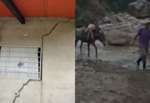 Más de 200 familias aisladas y viviendas en riesgo por lluvias en municipio San Judas Tadeo de Táchira Más de 200 familias aisladas y viviendas en riesgo por lluvias en municipio San Judas Tadeo de Táchira