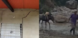 Más de 200 familias aisladas y viviendas en riesgo por lluvias en municipio San Judas Tadeo de Táchira Más de 200 familias aisladas y viviendas en riesgo por lluvias en municipio San Judas Tadeo de Táchira