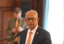 OEA asegura estar «lista» para apoyar un proceso electoral en Venezuela OEA asegura estar "lista" para apoyar un proceso electoral en Venezuela