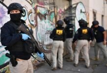 Más de 15 personas vinculadas al Tren de Aragua fueron detenidas en Chile por lavado de activos Más de 15 personas vinculadas al Tren de Aragua fueron detenidas en Chile por lavado de activos