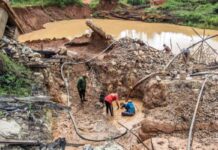 EFE: Provea exige al régimen transparencia sobre «megaoperativo» en zona minera en Bolívar EFE: Provea exige al régimen transparencia sobre "megaoperativo" en zona minera en Bolívar