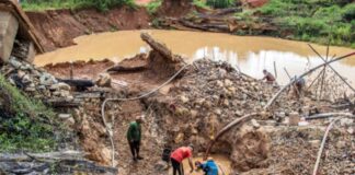 EFE: Provea exige al régimen transparencia sobre «megaoperativo» en zona minera en Bolívar EFE: Provea exige al régimen transparencia sobre "megaoperativo" en zona minera en Bolívar