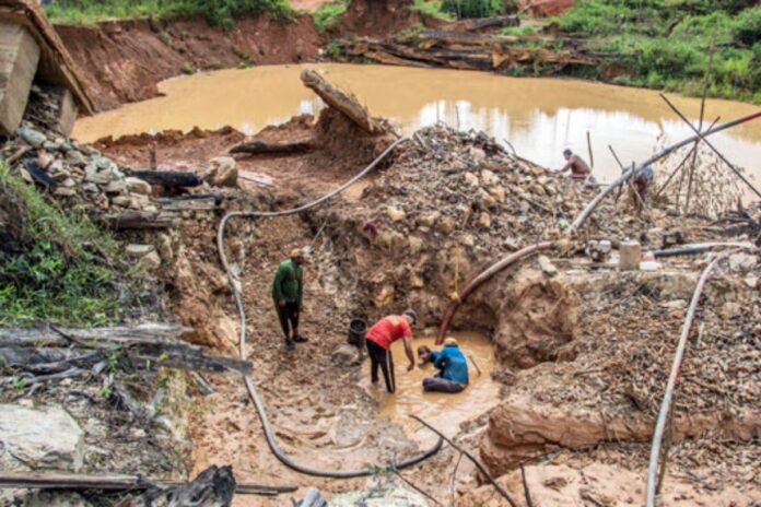 EFE: Provea exige al régimen transparencia sobre «megaoperativo» en zona minera en Bolívar EFE: Provea exige al régimen transparencia sobre "megaoperativo" en zona minera en Bolívar