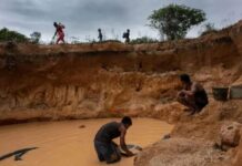 SOS Orinoco denunció complicidad institucional en el auge de la minería ilegal en el Amazonas de Venezuela SOS Orinoco denunció complicidad institucional en el auge de la minería ilegal en el Amazonas de Venezuela