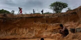 SOS Orinoco denunció complicidad institucional en el auge de la minería ilegal en el Amazonas de Venezuela SOS Orinoco denunció complicidad institucional en el auge de la minería ilegal en el Amazonas de Venezuela