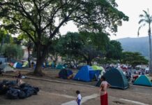 5 claves epidemiológicas para evitar enfermedades en los refugios 5 claves epidemiológicas para evitar enfermedades en los refugios