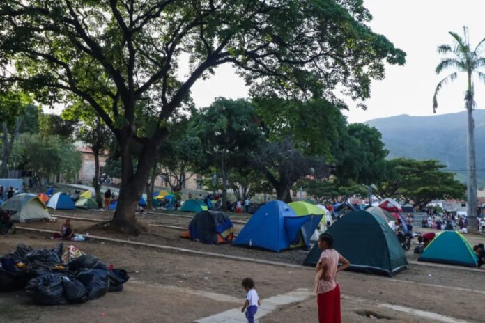 5 claves epidemiológicas para evitar enfermedades en los refugios 5 claves epidemiológicas para evitar enfermedades en los refugios