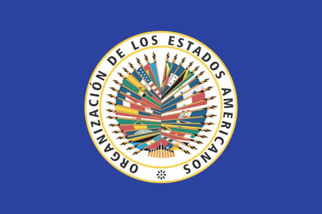 OEA asegura que apoyará una transición democrática en Venezuela