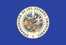 OEA asegura que apoyará una transición democrática en Venezuela OEA asegura que apoyará una transición democrática en Venezuela