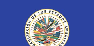OEA asegura que apoyará una transición democrática en Venezuela OEA asegura que apoyará una transición democrática en Venezuela
