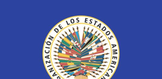 OEA asegura que apoyará una transición democrática en Venezuela