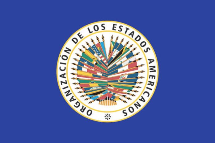 OEA asegura que apoyará una transición democrática en Venezuela OEA asegura que apoyará una transición democrática en Venezuela