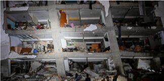 Colegio de Ingenieros refuerza evaluación de daños estructurales en Caracas tras terremotos Colegio de Ingenieros refuerza evaluación de daños estructurales en Caracas tras terremotos