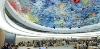 Defiende Venezuela presenta tres contribuciones para el cuarto ciclo del Examen Periódico Universal de Venezuela 2027 Defiende Venezuela presenta tres contribuciones para el cuarto ciclo del Examen Periódico Universal de Venezuela 2027