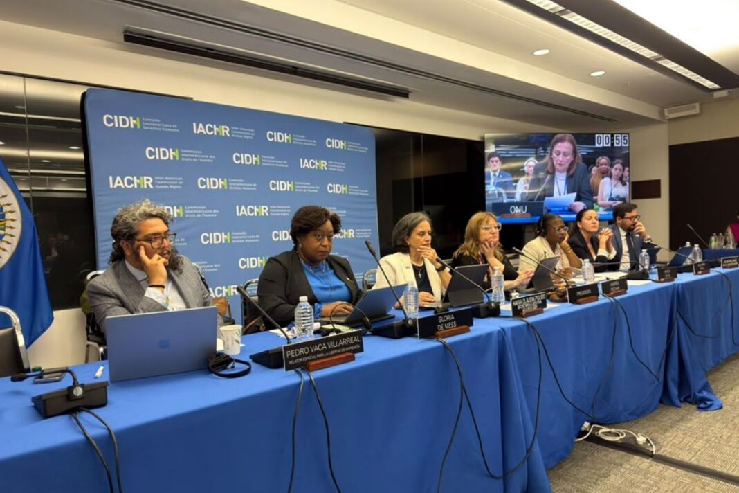 ONG denunciaron ante la CIDH que estructuras de represión del régimen "siguen intactas"